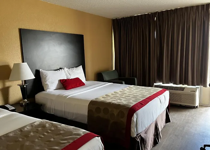 Budget Hotel