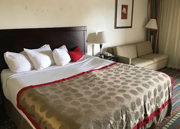 Budget Hotel 2*