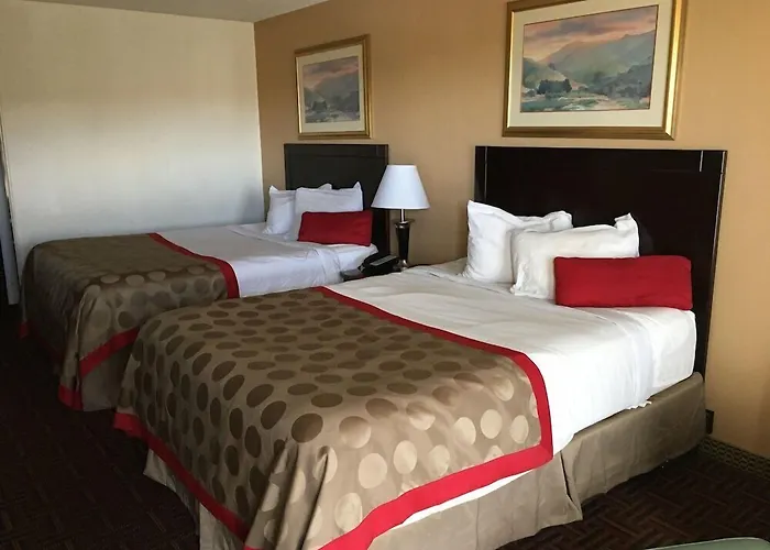 Hotel Budget