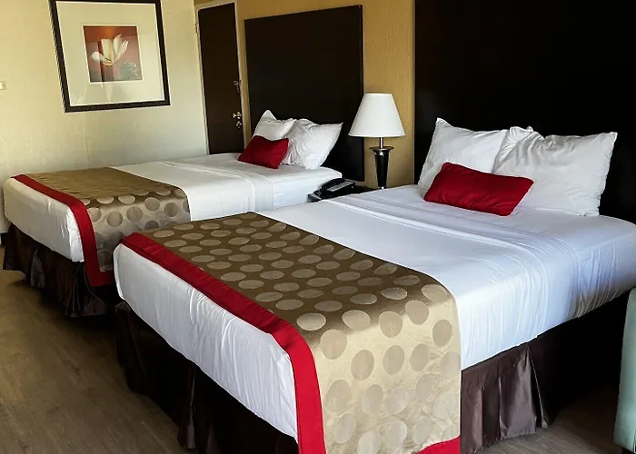 Hotel Budget 2*